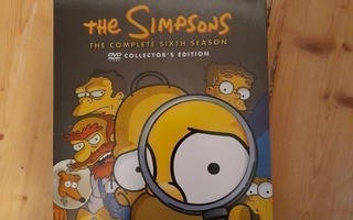 Simpsonit 6. tuotantokausi DVD