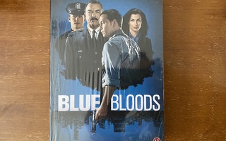 Blue Bloods Kausi 1 DVD