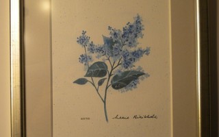 Leena Airikkala numeroitu vedos: sininen kukka
