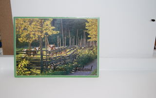 postikortti (A(3)) lehmä