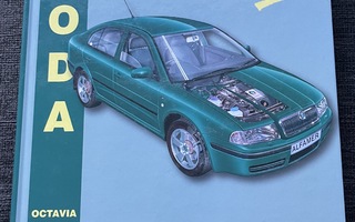 Alfamer S219 Skoda Octavia 1997 - 2004 korjausopas