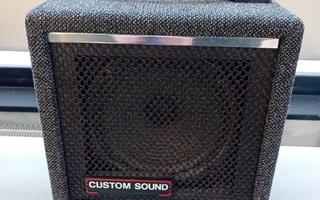 Custom sound Cub 10 kitaravahvistin