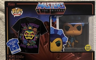 Funko Pop! Masters Of The Universe Evil Lyn