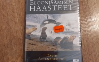 elonjäämisen haasteet