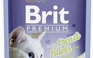 BRIT Premium Cat Pouch Jelly Filet Family Plate 