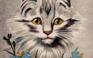 KISSA / Raidallinen kissa - ranskalainen! 1940-l.