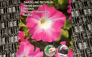 Petunia "Mirage Rose Morn" 15 siementä