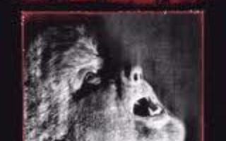 The wolf man DVD 2 DVD special edition +++ extraa 1941 orig.