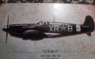 Peltikyltti lentokone Spitfire "Stinky", ruskehtava