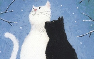 Kate Mawdsley: Musta ja valkoinen kissa katsovat lintua