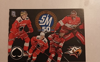 Ässät Sport liiga50