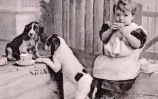 LAPSI / Pieni tyttö ja ajokoirat syövät eväitä. 1900-l.