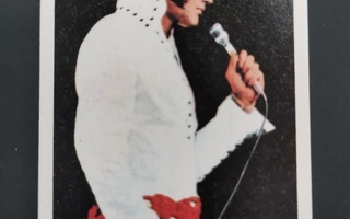 Dandy Pop Stars #11 Elvis Presley