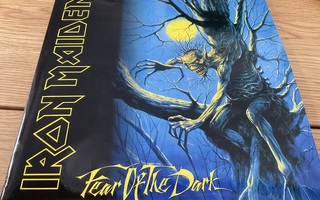 Iron Maiden - Fear Of the Dark (2LP)