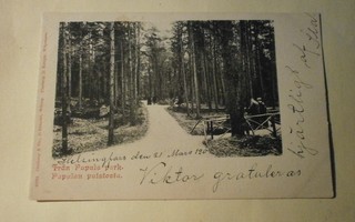 Viipuri, Papulan puistoa, silta, jalankulkijoita, p. 1909