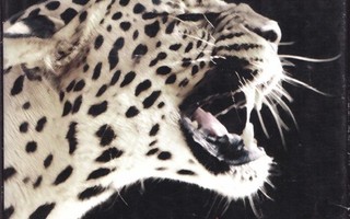 Henning Mankell - Leopardin silmä