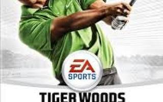 Ps2 Tiger Woods PGA TOUR 09