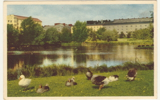 Tampere Sorsapuisto 50-luku