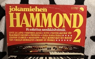 Ari Oinonen – Jokamiehen Hammond 2 LP