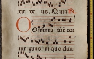 Velliiniantifonisivu n. vuodelta 1350 + aitoustodistus