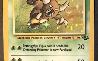 Pinsir Jungle set holo rare 9/64