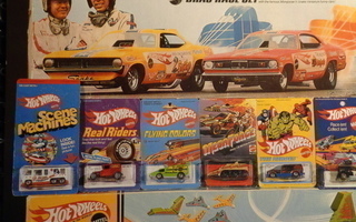 Tomart's Price Guide to Hot Wheels Collectibles