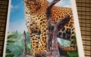 Trefl: Wild leopard  500 palaa