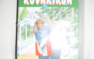 Ti-Ti Nallen laulava & leikkivä kuvakirja vhs