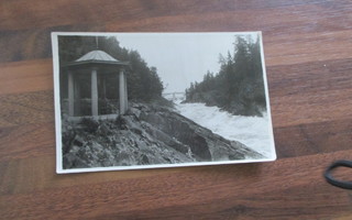 vanha postikortti imatrankoski  ( imatran valokuvaamo