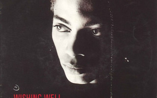 TERENCE TRENT D'ARBY :: WISHING WELL :: VINYYLI  7"  1987