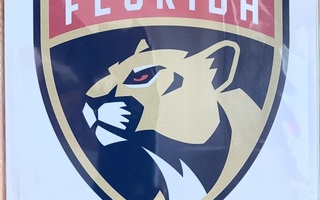 NHL Florida Panthers peltitaulu