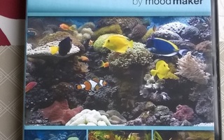 Aquariums DVD