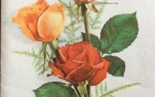 Ruusuja onnittelukirjekortti ja kuori  tk 1971