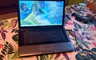 HP 250