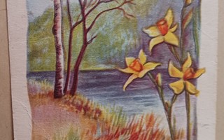 D. Klaide-Linholm: Narsisseja keväisellä rannalla, p. 1954