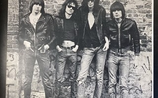 Ramones - Ramones (UK/9103253/1976/insert) LP