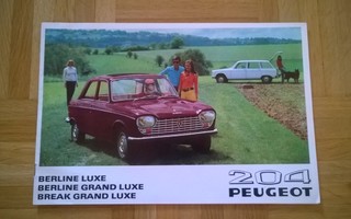 Esite Peugeot 204, 1969