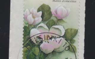 2005 Kukka merkki loistoleimalla.