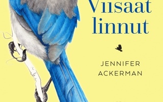 Jennifer Ackerman: Viisaat linnut
