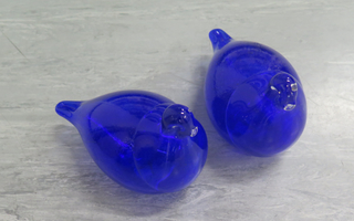LT-21719-2024 Kaksi sinistä lasilintua