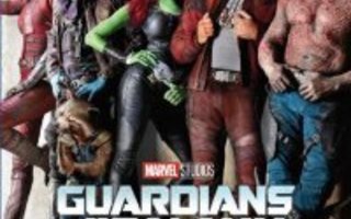 Guardians of the Galaxy vol. 2  DVD