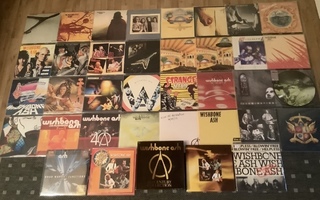 Wishbone Ash vinyylilevykokoelma, 42 x LP’s