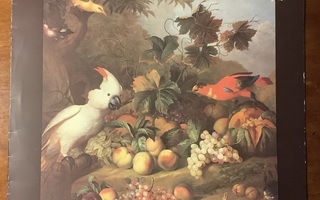 PROCOL HARUM:” Exotic Birds And Fruits”, vinyyli