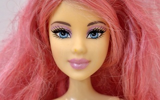 Barbie Enchanted Wingdom pinkki