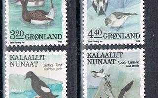 Grönlanti 1989 - Lintuja (4)  ++