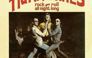 Hurriganes:Rock And Roll All Night Long 50th - 2LP,väri,uusi