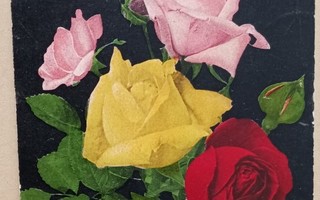 Värikäs ruusukimppu onnitteluina, p. 1910