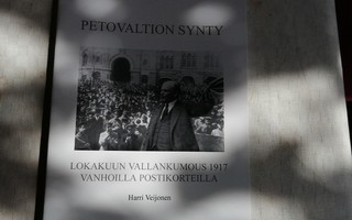 Harri Veijonen - Petovaltion synty