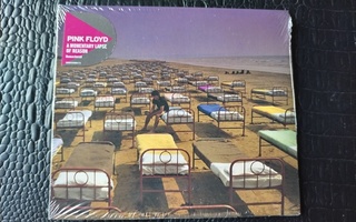 PINK FLOYD - A MOMENTARY LAPSE OF REASON