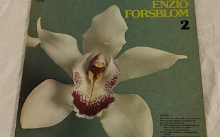 Enzio Forsblom – Bach To You (LP)